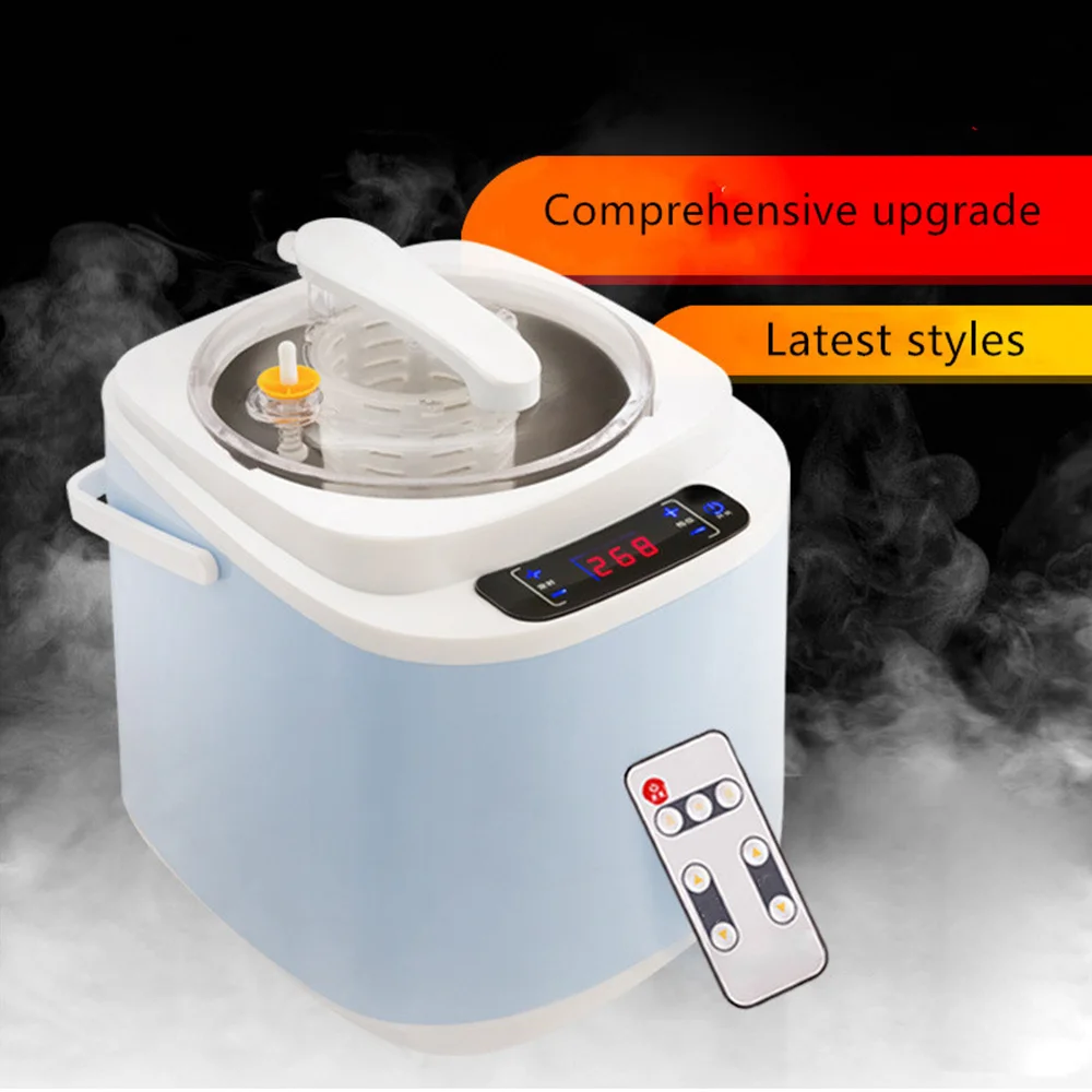 2L Home Steamer Fumigation Machine Home Steam Generator for Sauna Spa Body Therapy