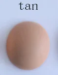 브라운