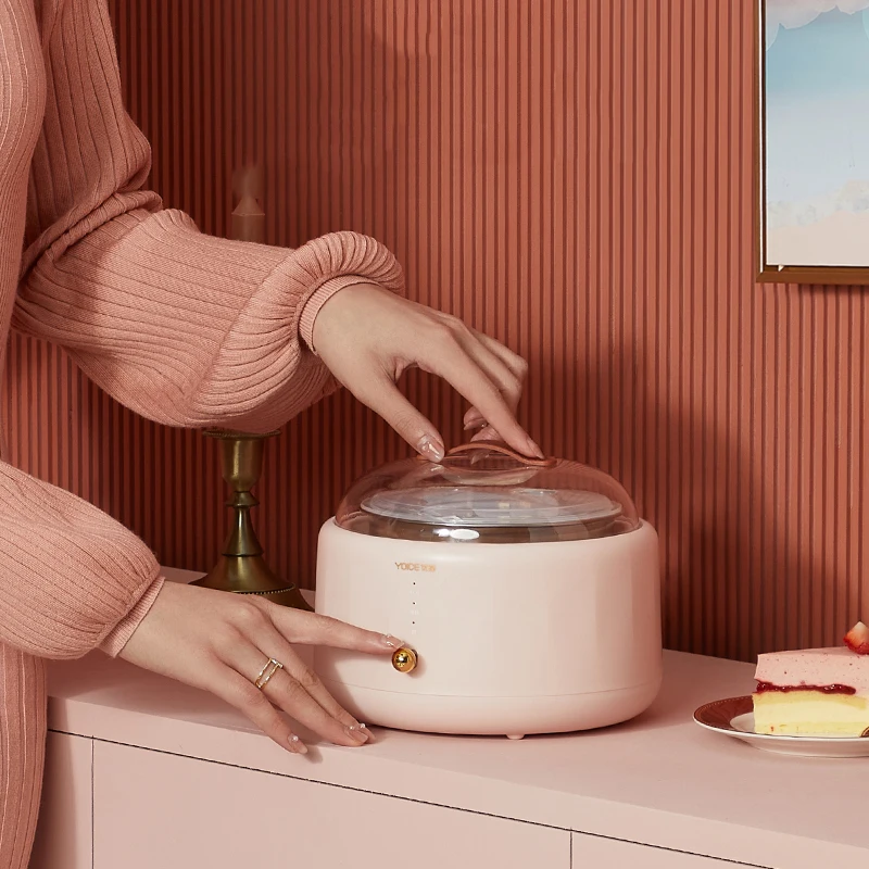 家庭用ジェット機,ジュース用,ステンレス鋼素材,1l,220v