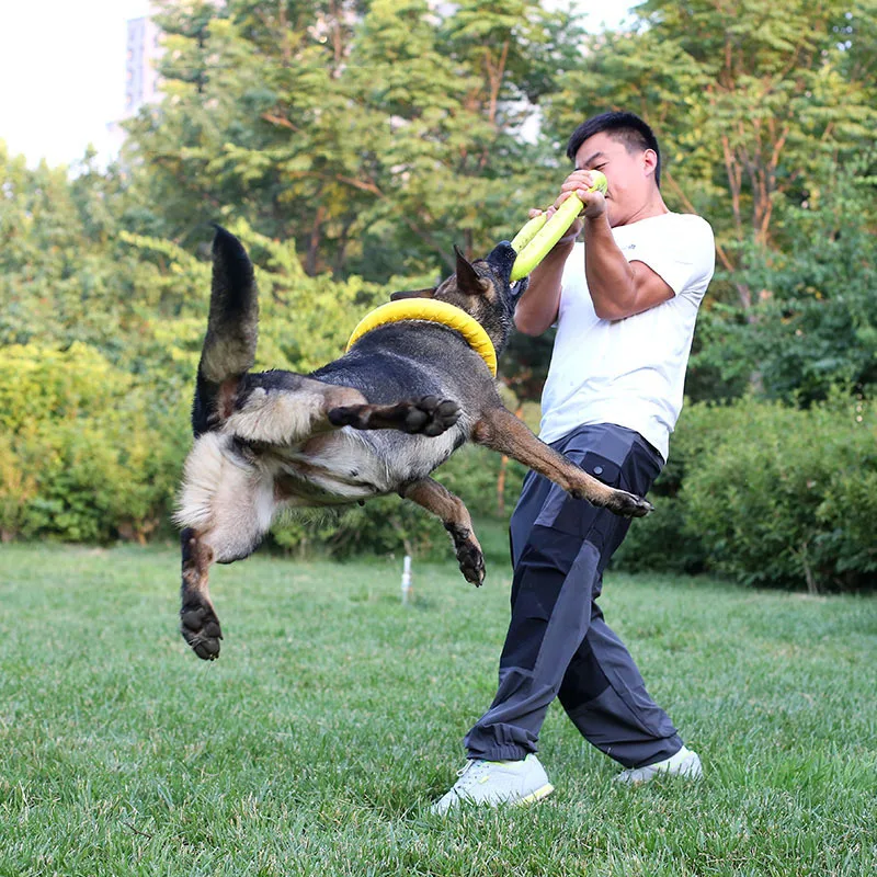 Interactive Training Pet Ring Puller Toys for Medium Large Dogs Greyhound Pitbull Safety EVA Big Dog Toy Mascotas Accessories