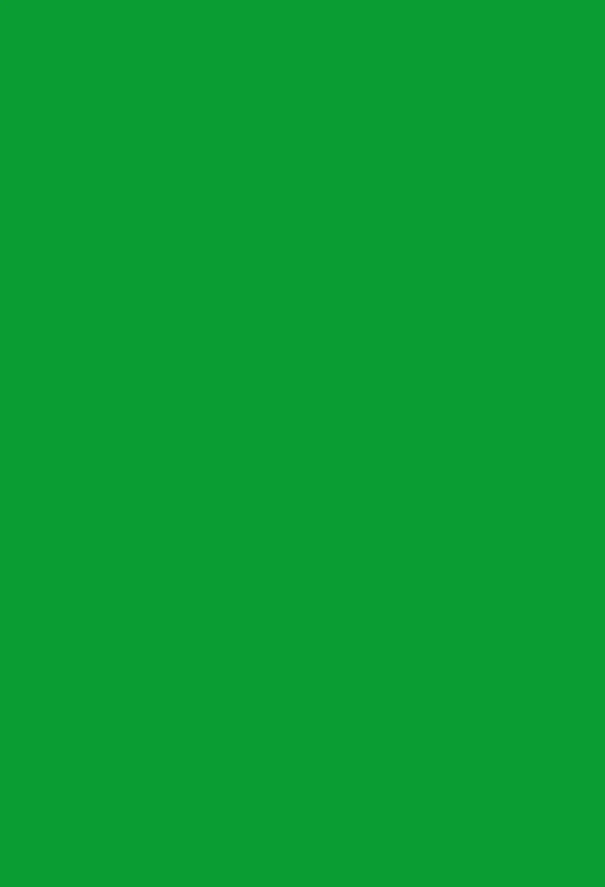 

VinylBDS Green Solid Color Photocall Background Photography Background Fotografie Achtergronden