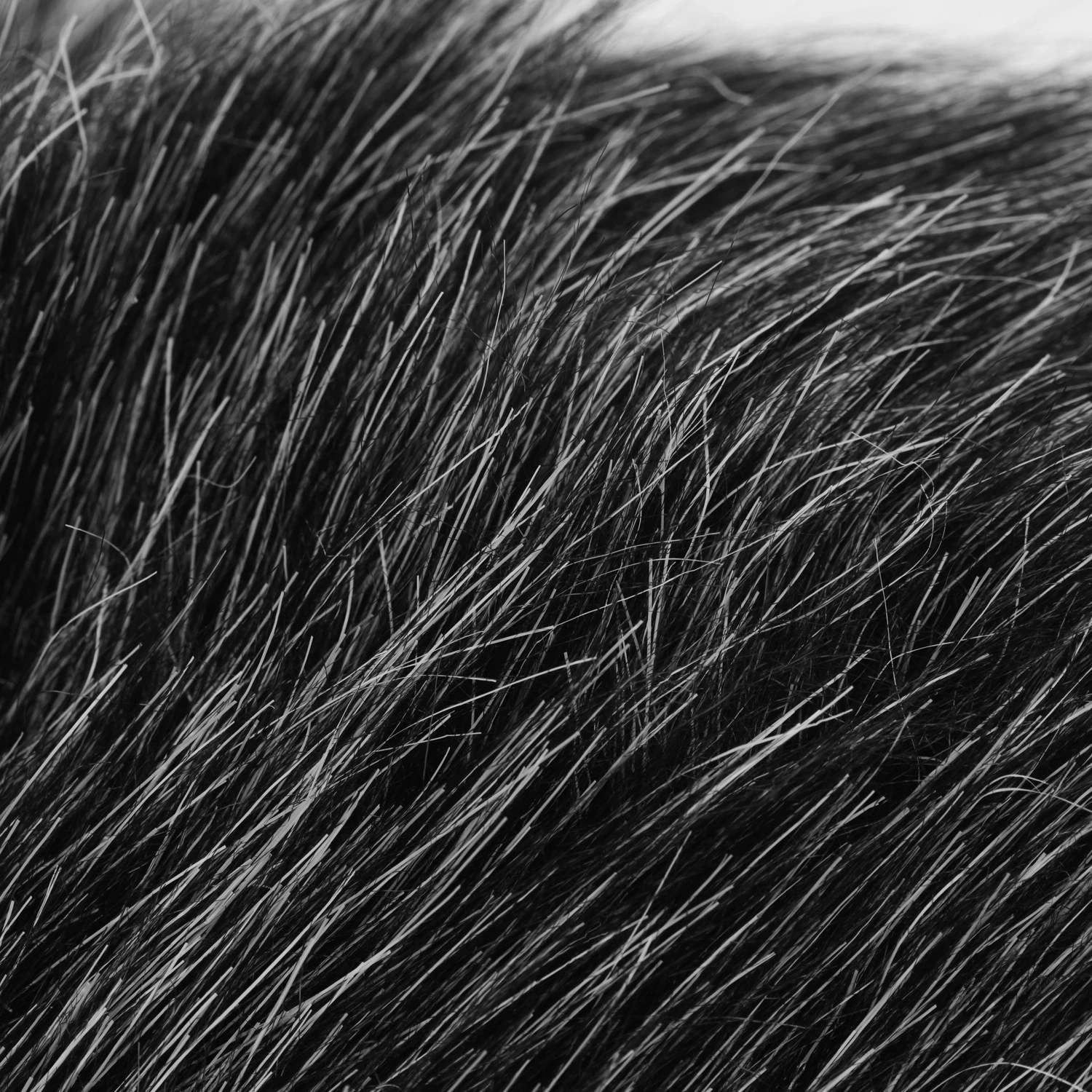 على الكاميرا ميكروفون فروي الزجاج الأمامي Mic غطاء الزجاج الأمامي إفشل ل رود فيدوميك الذهاب/TAKSTAR SGC-598/ BOYA MM1 ميكروفون