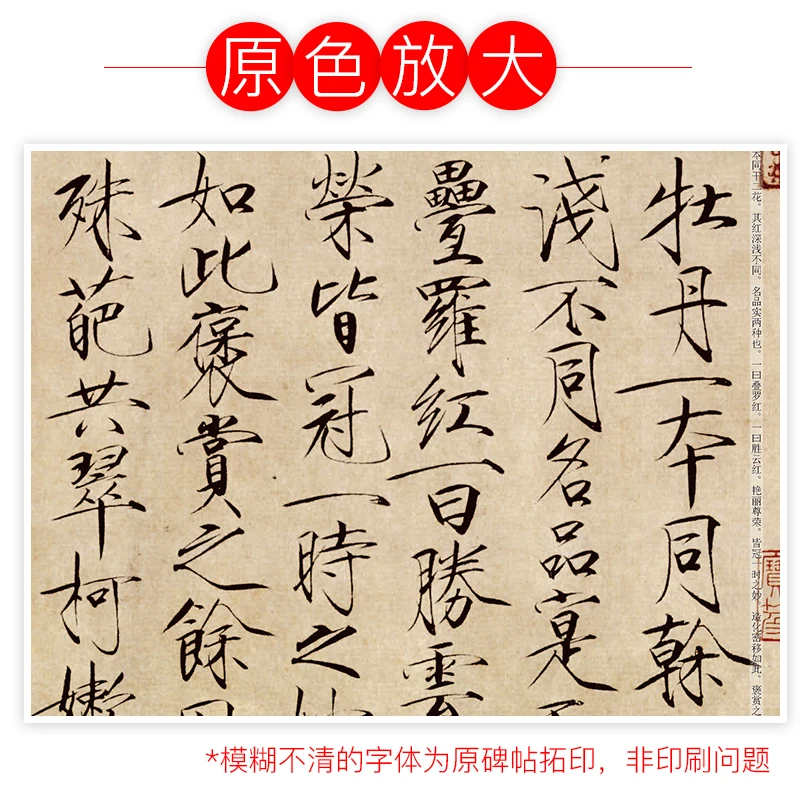 Calligraphy Chinese Rubbings Book for Adult Beginners Shoujinti Original Color Enlarged Famous Products Song Huizong Ink Marks