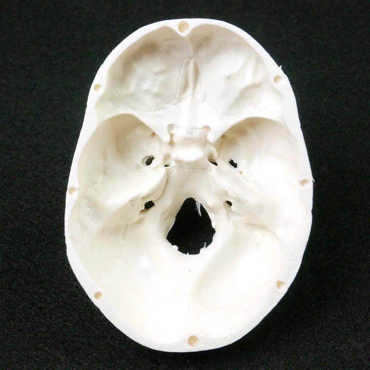 Cabeza de anatomía anatómica humana, Cráneo pequeño de PVC, modelo médico conveniente, 92x99x71mm