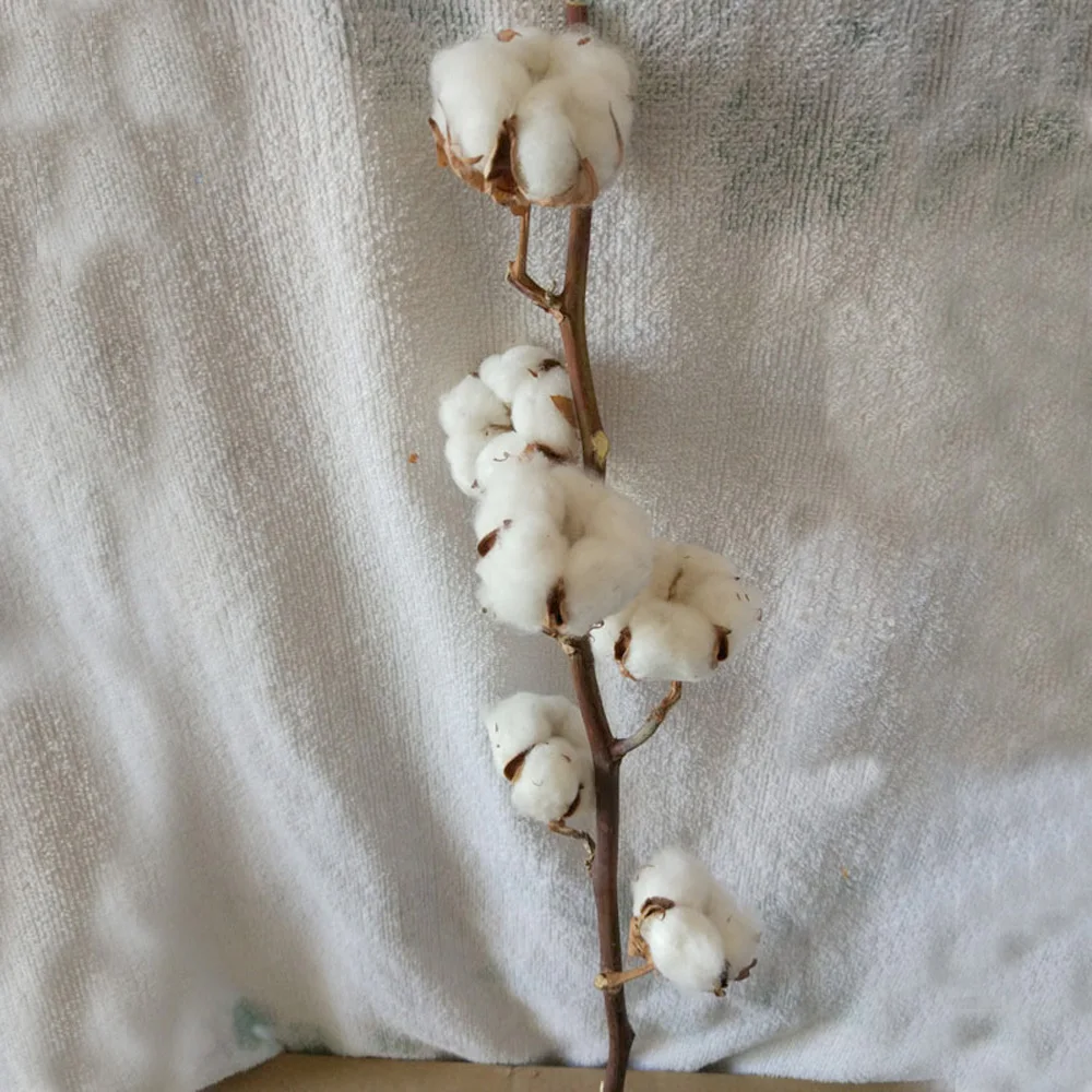 1pcs dried natural flower bouquets dried natural cotton branch flower bouquets one branch have 5 flowers