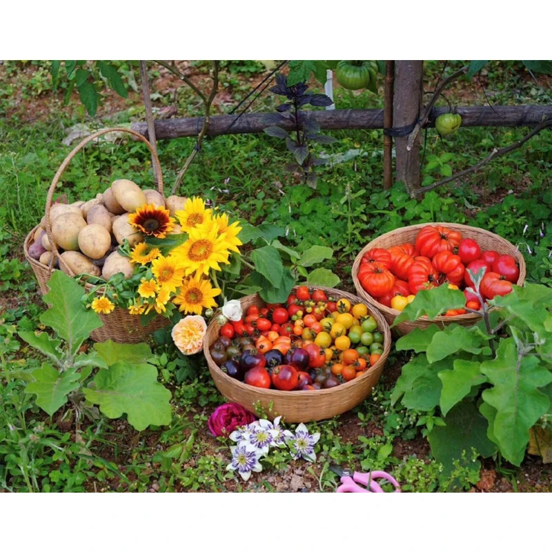 

Diy Diamond painting fresh vegetables and fruits diamond embroidery full square round 5D cross stitch mosaic sale stickerZP-1954