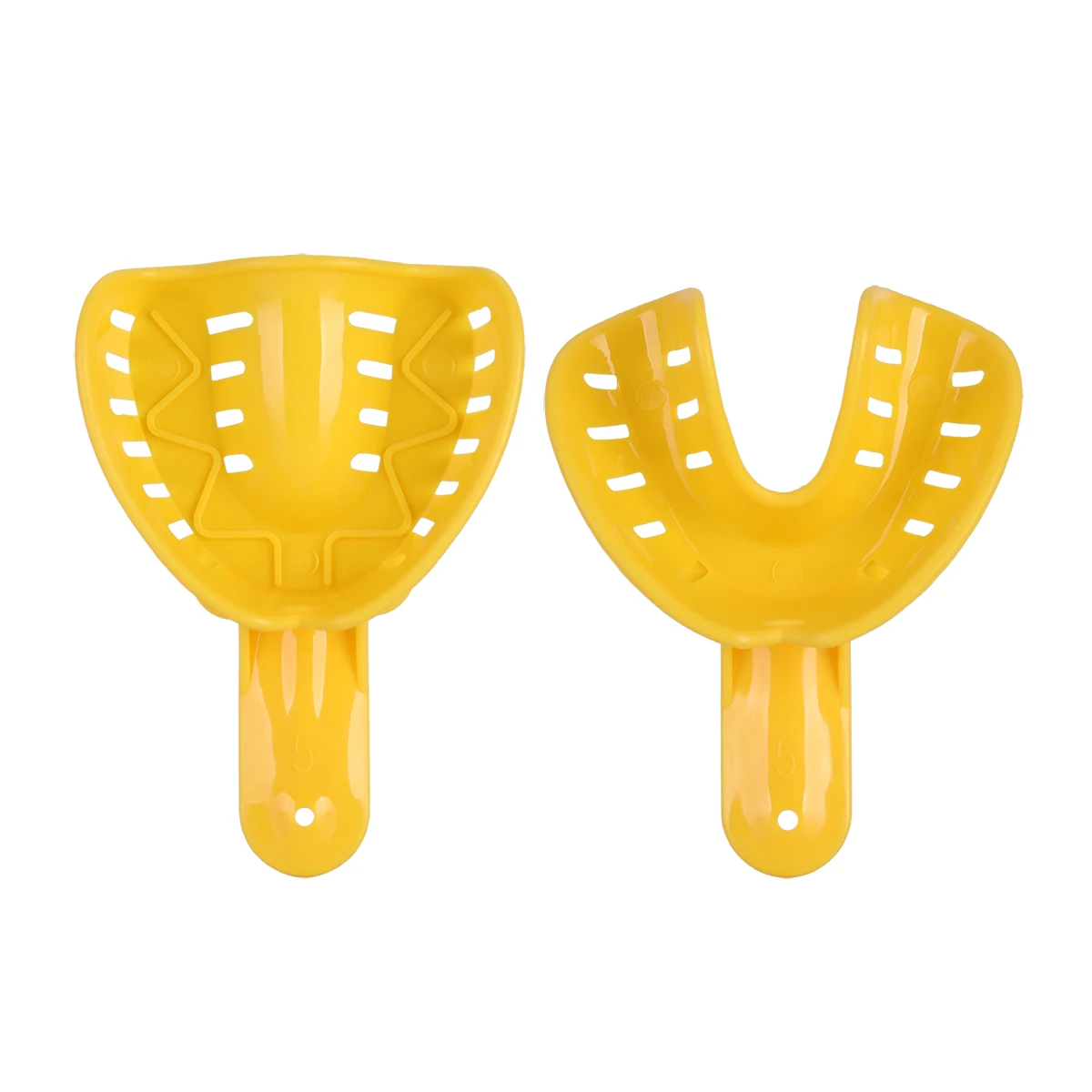 Azdent-bandejas dentales para niños y adultos, soporte de dientes de plástico