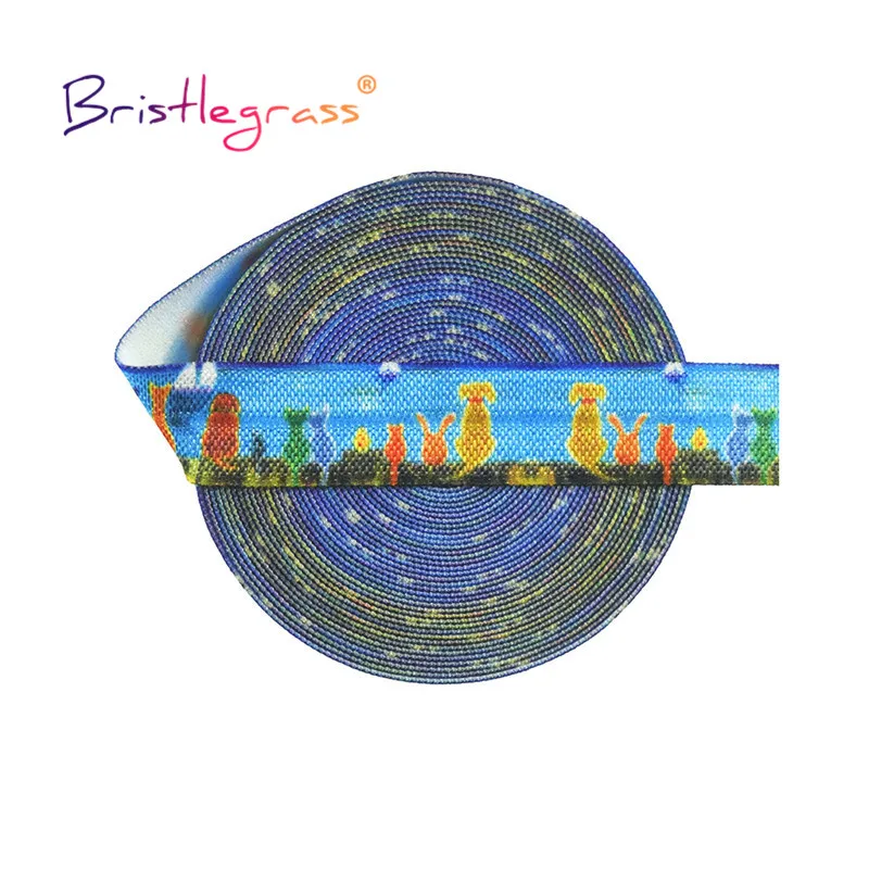 Bristlegrass 2 5 10 Yard Elastic Rope for DIY Projects