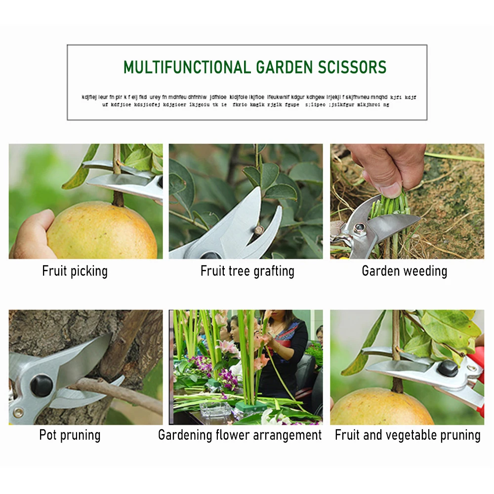 Potatore frutteto e attrezzo manuale da giardino Bonsai per forbici macchina da giardinaggio incudine ramo cesoia raccolta frutta potatura cesoia nuovo
