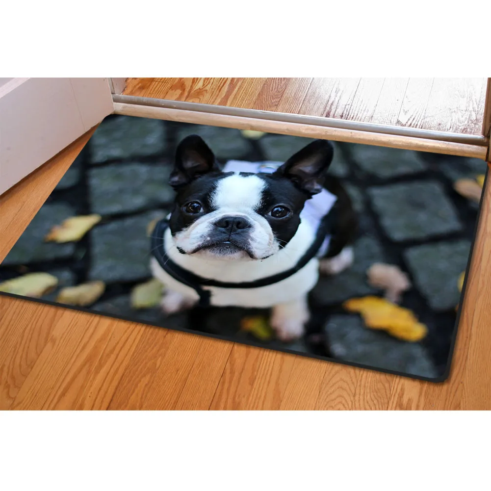 

40x60cm Vintage Door Mat Cute Dog 3D Print Floor Mat Rugs for Living Room Non-slip Doormats for Outdoor Bathroom Kitchen Carpets