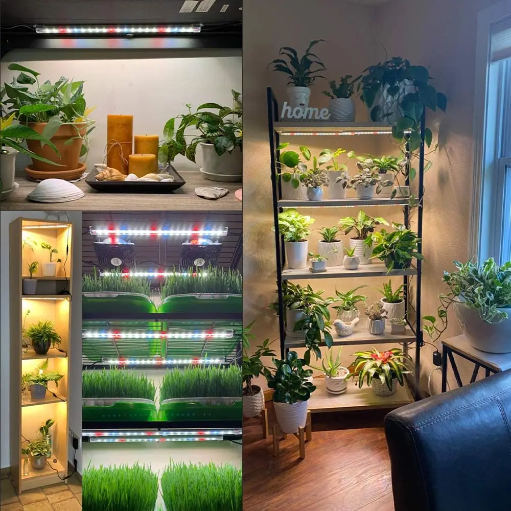 6 confezioni Phytolamp per piante serre Luci LED rosse a spettro completo Lampada timer ciclo automatico per piante Lampada da coltivazione per