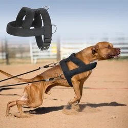 Dog Weight Pulling Harness Soft Padded Dogs Harnesses Pitbull Big Large Dogs Training Harness Pet Agility Products