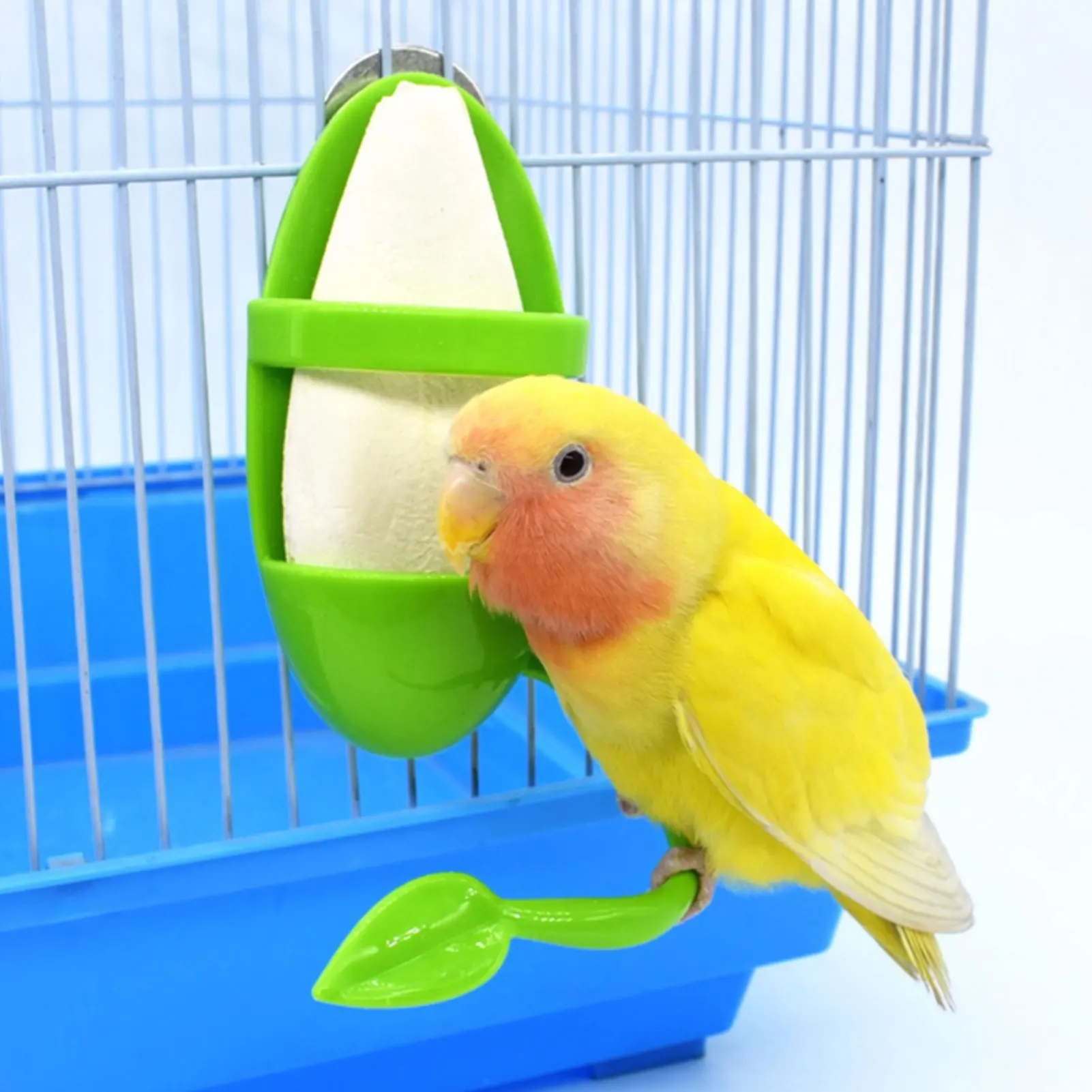 Parrot Feeder With Standing Rack Fruit Holder Plastic Hanging Cuttlefish Bone Container Calcium Supplement Food Box Bird Supplie