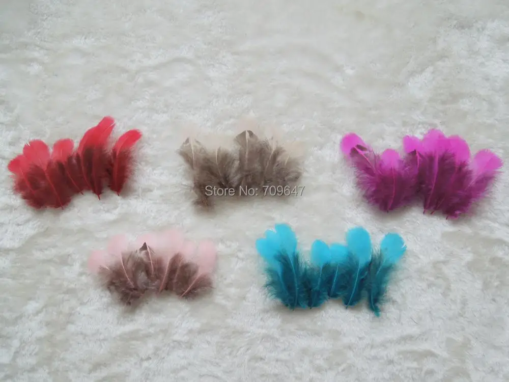 20Pcs/Lot!5-8CM Loose Lady Amherst Pheasant Plumage Feathers,Small Plume for Crafts DIY ,5Colours for Choice