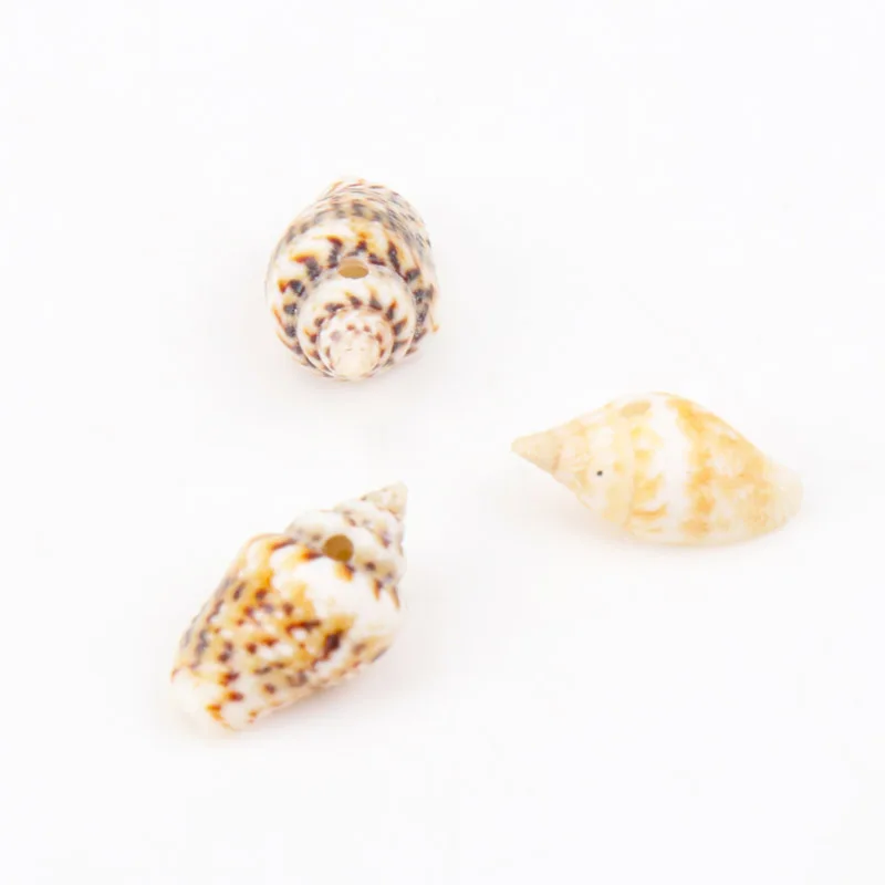 ليوبارد نمط الطبيعية دوامة صدف كونشا دو مار سجل القصاصات الحرفية لوازم للمنزل الديكور لتقوم بها بنفسك 13-16 مللي متر 50 قطعة TRS0057