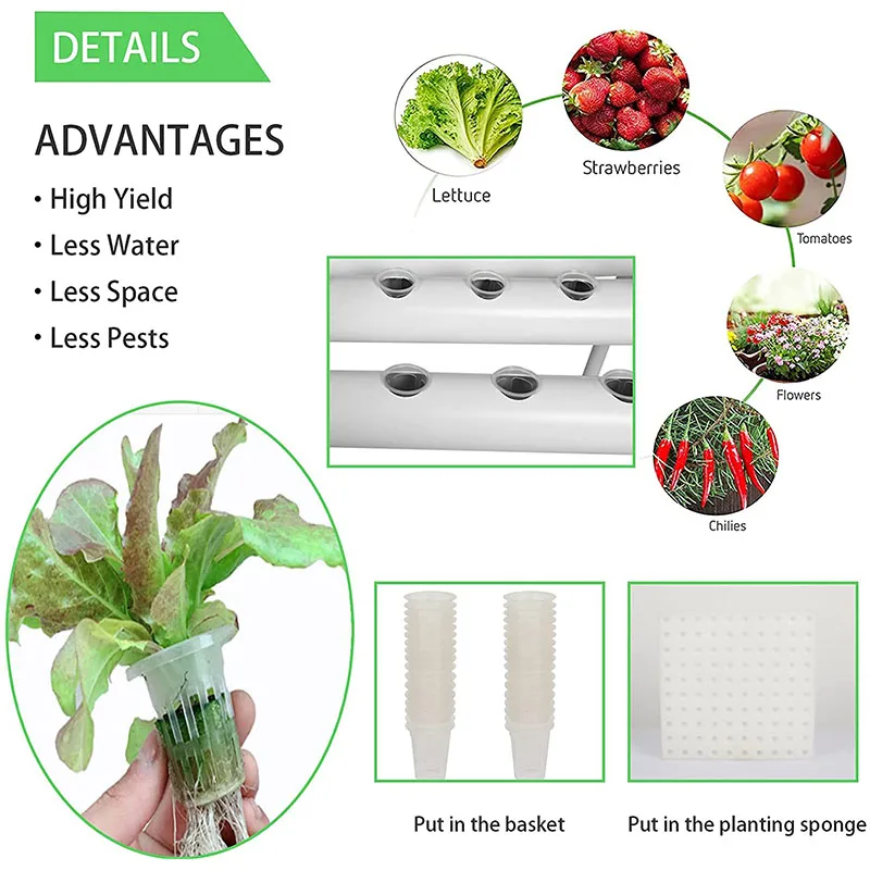 Imagem -04 - Hidropônico Grow Kit para Hidroponia Vegetal Sistema Crescente Ferramentas Soilless Cultivo Sistema