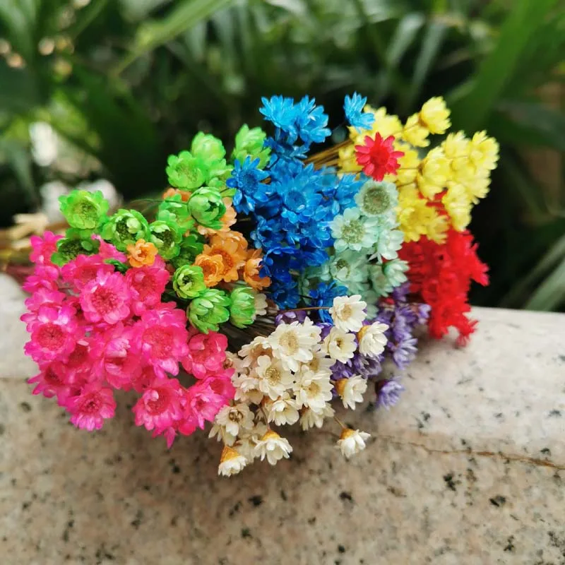 150PCS/0.6-1CM Head,Real Dried Natural Little Flower Branch,Mini Star Flowers Bouquet For Resin Jewellery,Home Decoration