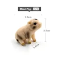 Mini Pig -  a