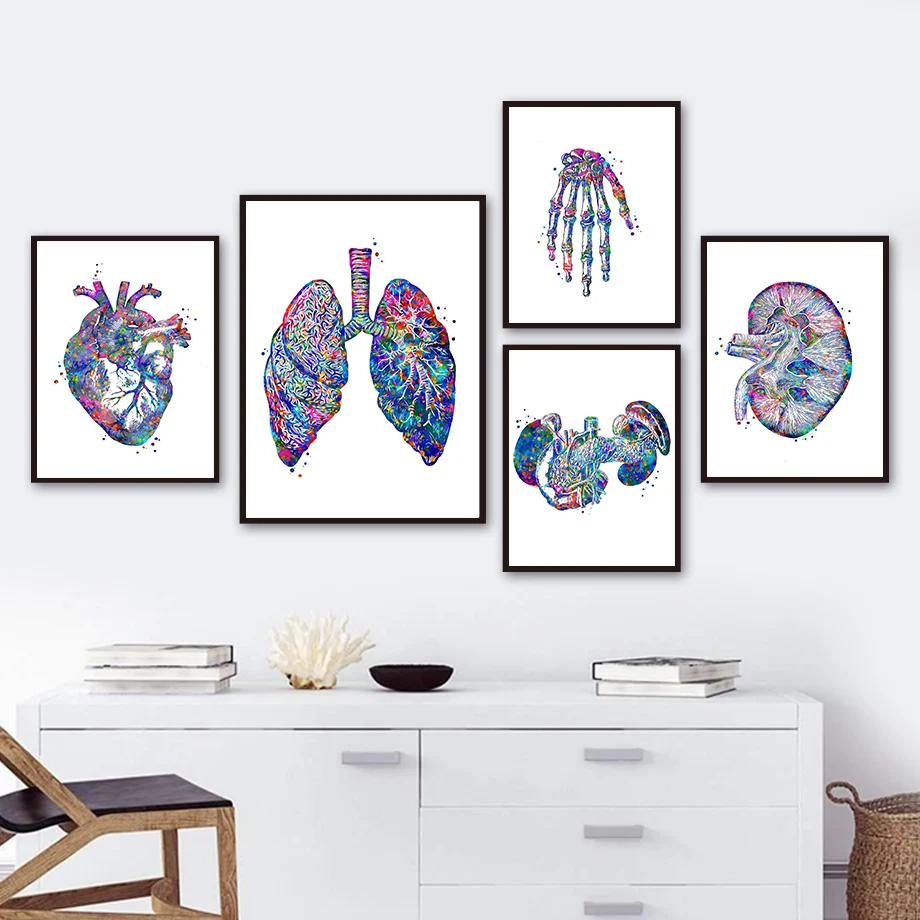 Anatomy Organs Heart Liver Lung Kidney Wall Art Canvas Painting Nordic Posters And Prints Wall Pictures For Clinic Room Decor