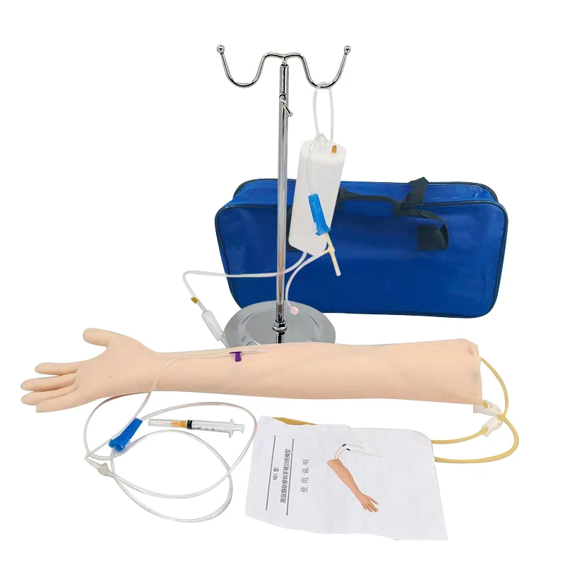 Life Size Anatomical Phlebotomy Venipuncture Practice Arm anatomy Injection practice Simulator Nurse Training kit