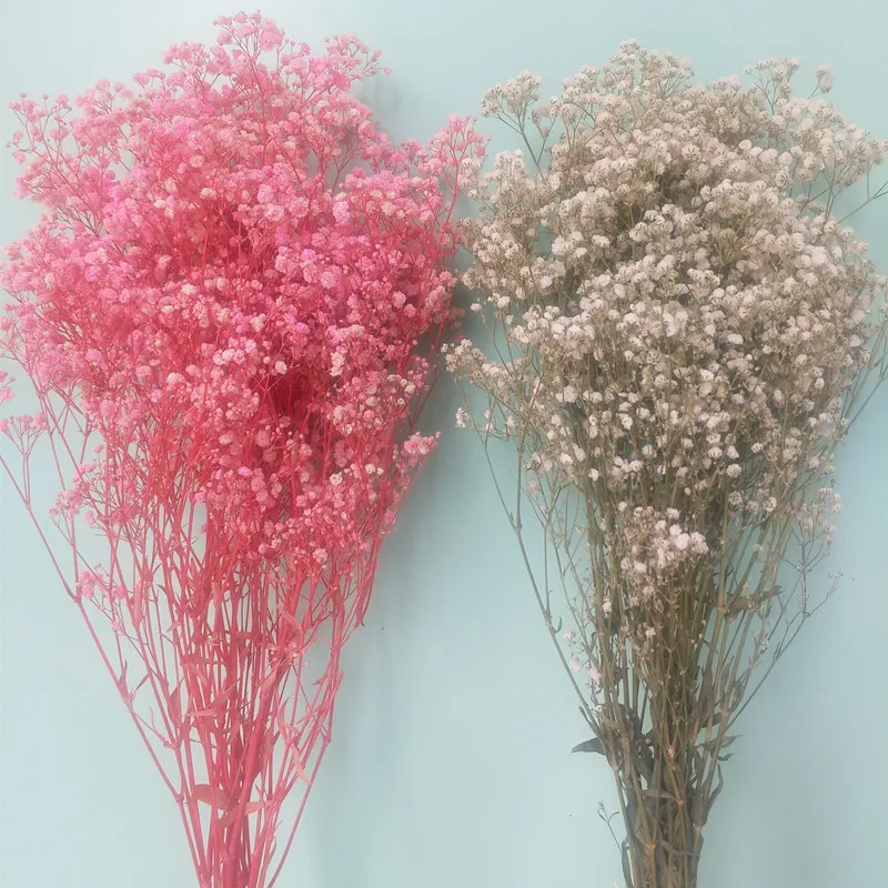 

80g/Bunch Colorful New Arival Gypsophila paniculata Natural Dried Flowers for Wedding ,Valentines， Home , Office decoration