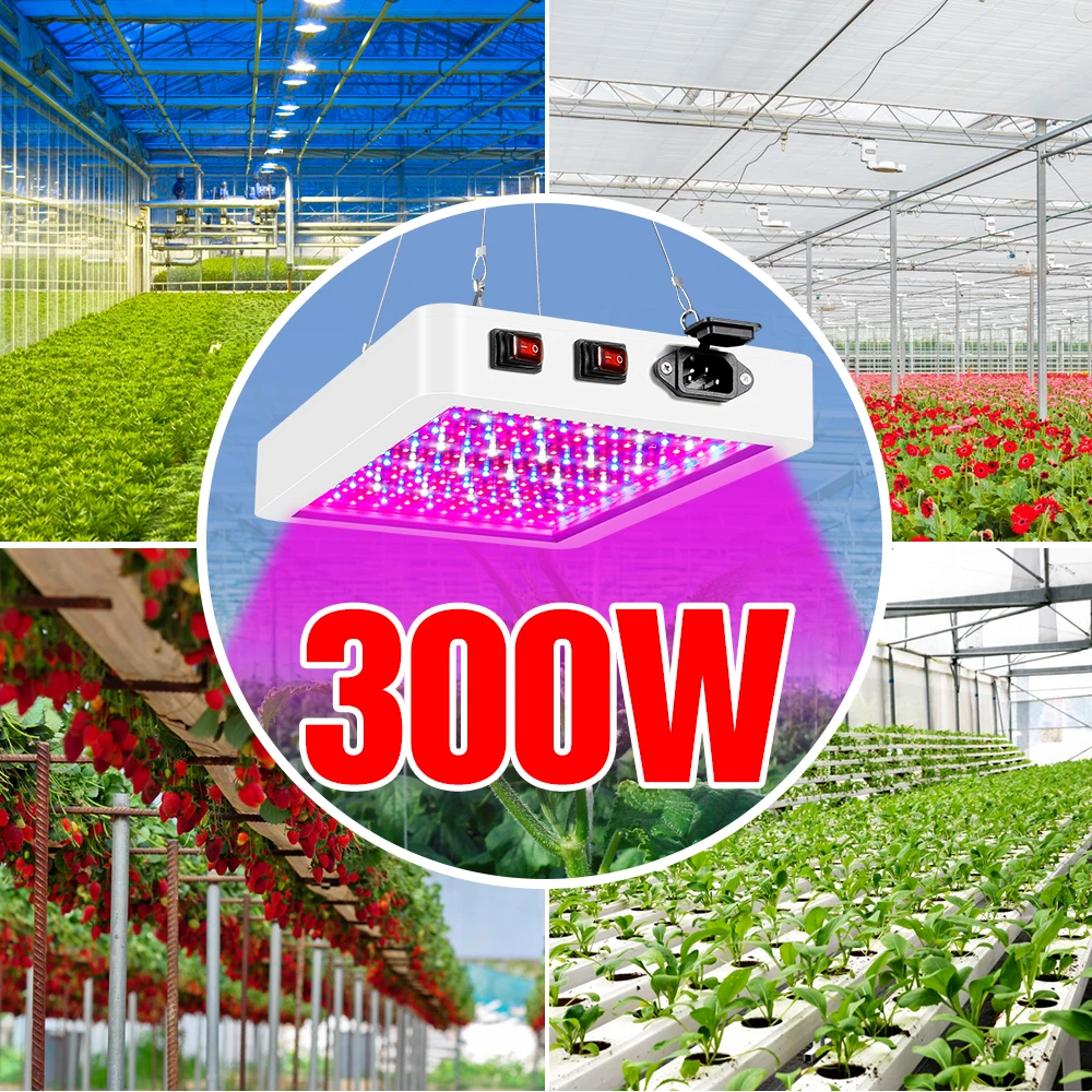 Grow Light LED Phyto Lamp Full Spectrum Plant Light Bulb 220V LED UV Phytolamp 300W 500W LED Lamp For Plants Growing Hydroponics