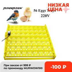 Egg Incubator Automatic 56 154 Plastic Bird Eggs Duck Chicken Eggs Hatching Machine 220V Incubator Trays with Auto Turn Motor