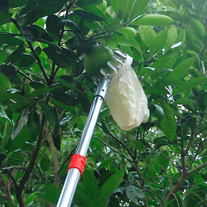 Cesta para recolector de frutas de jardín, recogida de frutas, herramientas manuales, receptor para recoger cítricos, pera, melocotón, jardinería