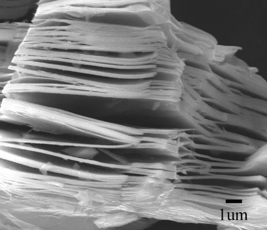 

Organ-like V2C MXenes material 1g