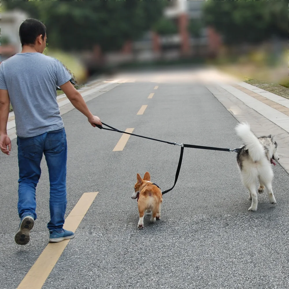 Double Leashes Pet Dog Coupler Leash Walking Lead Traction Rope for Two Dogs Running or Training Rope Leash Pet Accessorie