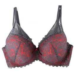 Mierside 163130 Women Lace Sexy Push Up Bra Female Brassiere Plus Size Women Bra With Wire Lingere DD/DDD/E/F