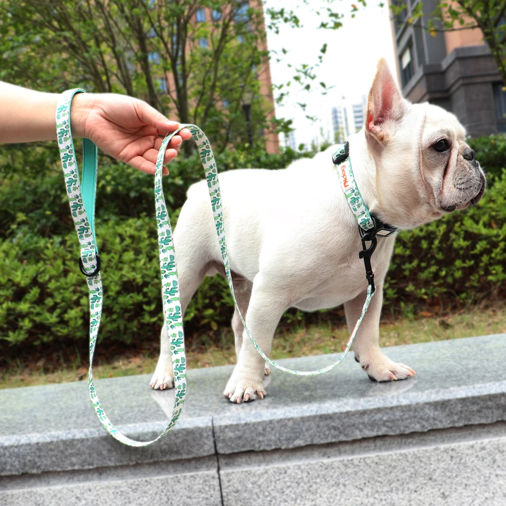 150cm Dog Leash Nylon Print Pet Cat Walking Belt Dogs Cat Lead Rope With Padded Handle for Dogs Cats Bulldog Pug Chihuahua