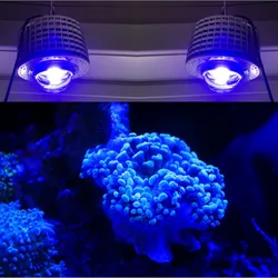 LED Aquarium Lighting Full Spectrum, 100W, CREE Bulb, Marine Coral, SPS, LPS, Reef Tank, Blue, White, Customize Color with EU Pl