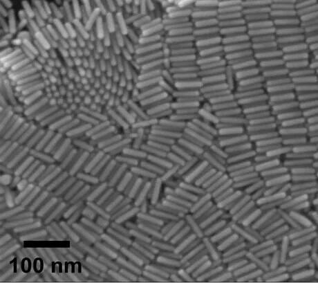 

Oil-soluble gold nanorods