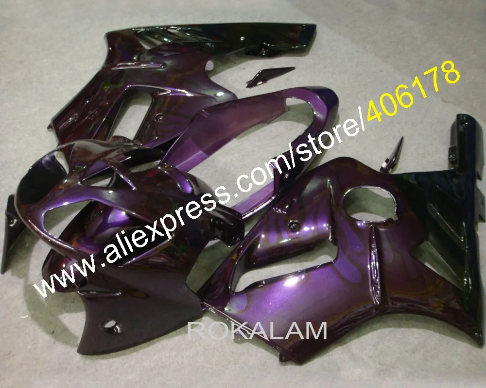 Purple Flame For Ninja ZX-12R ZX 12R 2002 2003 2004 2005 2006 ZX12R 02 03 04 05 06 ZX-12R ABS Fairings (Injection Molding)