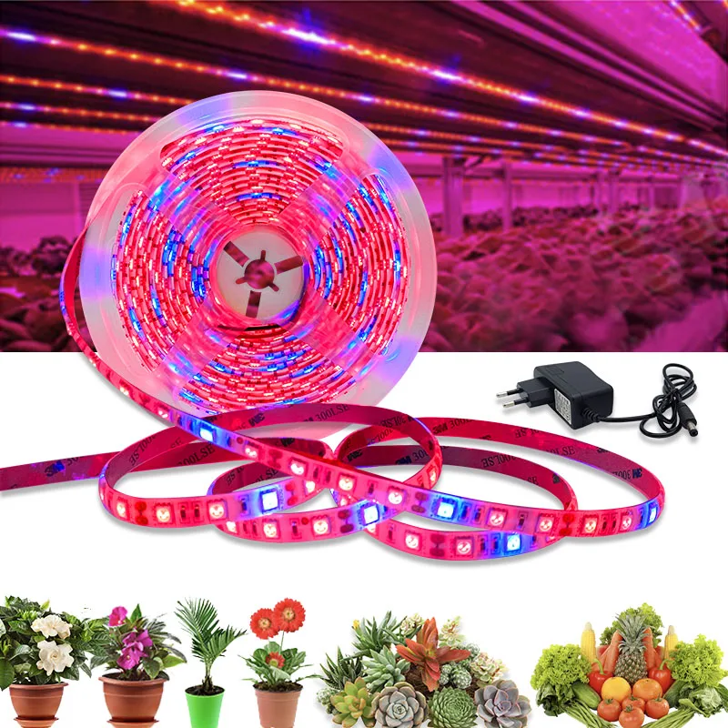 Led Plant Grow light Full Spectrum 5M Grow Lamps 20M LED Phyto Tape Phyto Lamp for Greenhouse Flower Seeding Home Plant