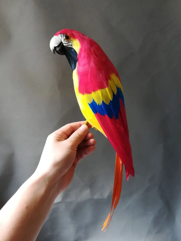 

about 43cm colourful feathers parrot bird ,foam & feathers bird model toy,prop,home garden decoration Xmas gift w0569