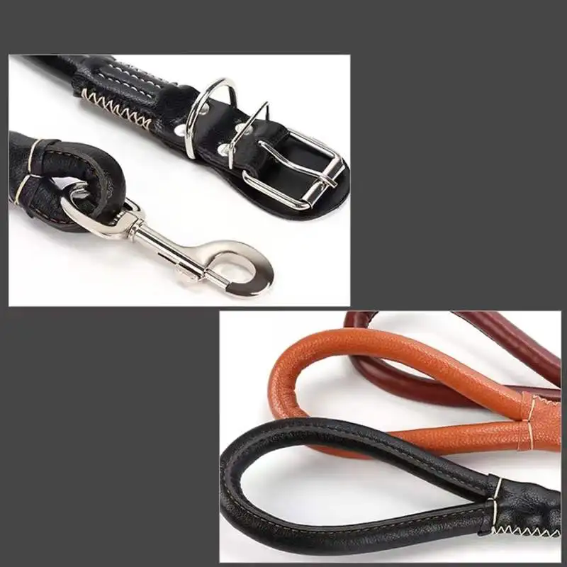 Black Pet Dog Collar Leash For Small Large Dogs Leather Round Rope Traction Belt Golden Retriever Pitbull Leads Accessories