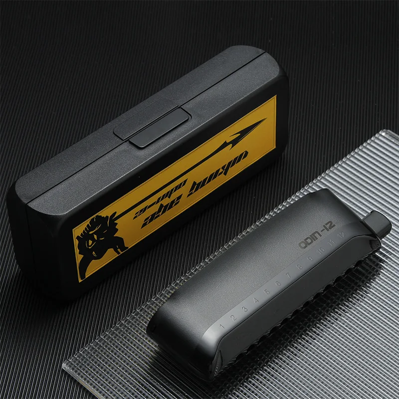 Professional Playing12 Hole 48 Tone Chromatic Harmonica Odin-12  Best Choose For Beginner Better Than CX12 Mouth Organ