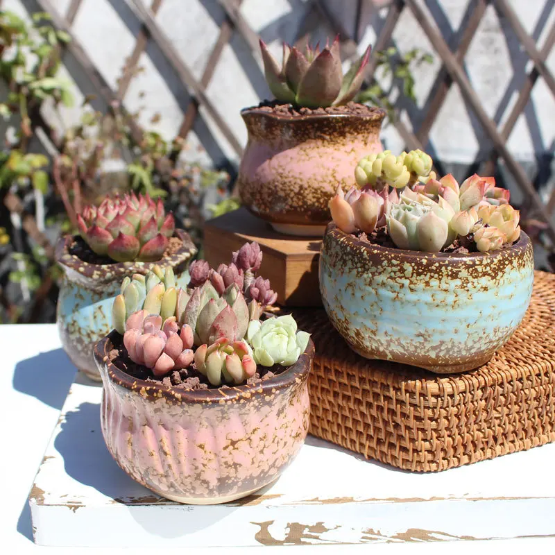 New Creative Succulent Plant Pots Stoneware Breathable Thumb Pots Simple Large Diameter Platter Retro Pottery  Plant Pots