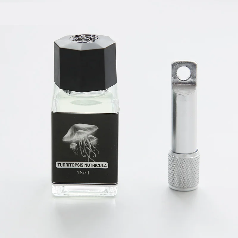 18 ml kohlenstofffreie magische unsichtbare Tinte für Brunnen, Glas-Tauchstift, kreative fluoreszierende Tinte, UV-Licht, Geschenk-Briefpapier