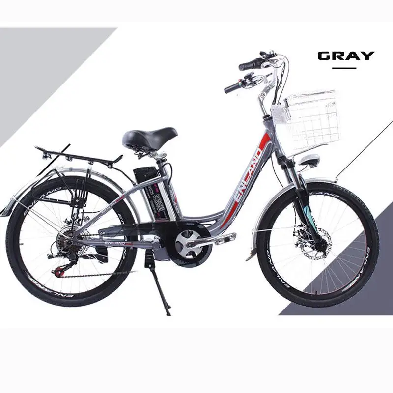 24 Inch Smart Electric Bicycle Two Wheels Electric Bicycles 6 Speed 250W 48V Gray Powerful Electric Bike Detachable Battery