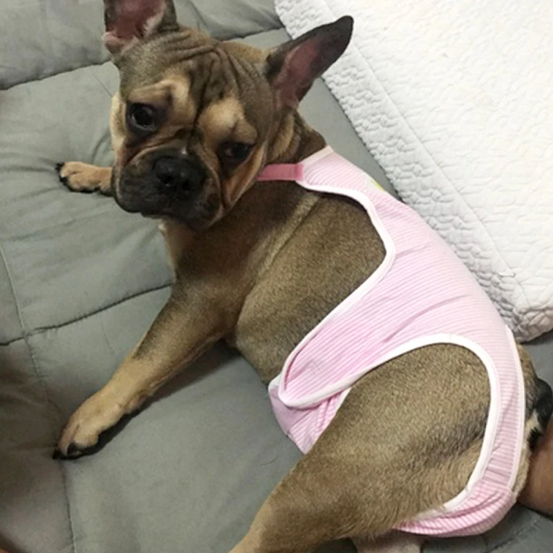 Female Dogs Diapers Cute Pet Sanitary Pant Girl Dogs Cotton Physiological Shorts Washable Panties Underwear For French Bulldog