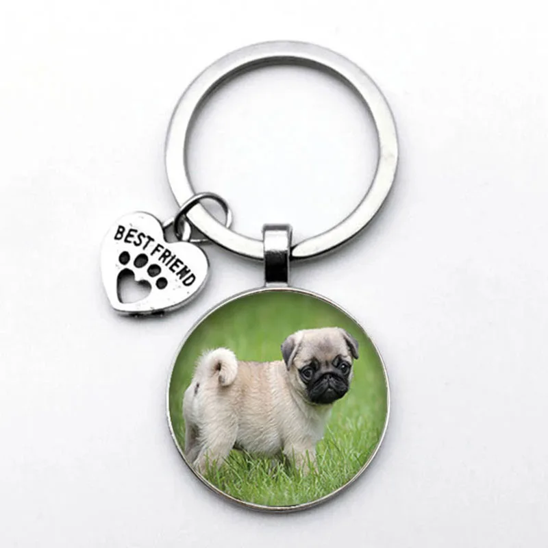 Cute Animal Beagle Pug Dog Glass Cabochon Poodle Teddy Art Picture Glass DIY Handmade Jewelry Keychain Friend Gift