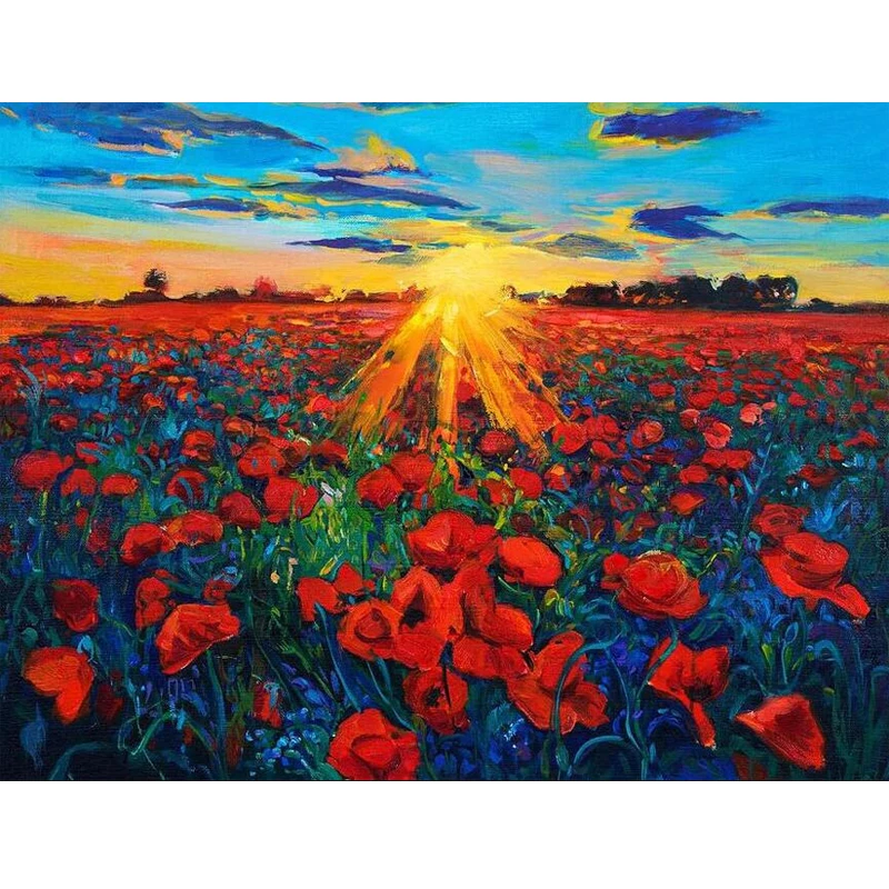 

5D Diy Diamond Painting By Number Poppy Fields Sunrise"Full Square Diamond Mosaic Single Picture of Rhinestone,Europe Home Decor