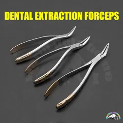 Dental Extracting Forceps Upper Lower Jaw Extraction Forceps Teeth Plier Dental Tool Dental Root Clamp Instruments Veterinary
