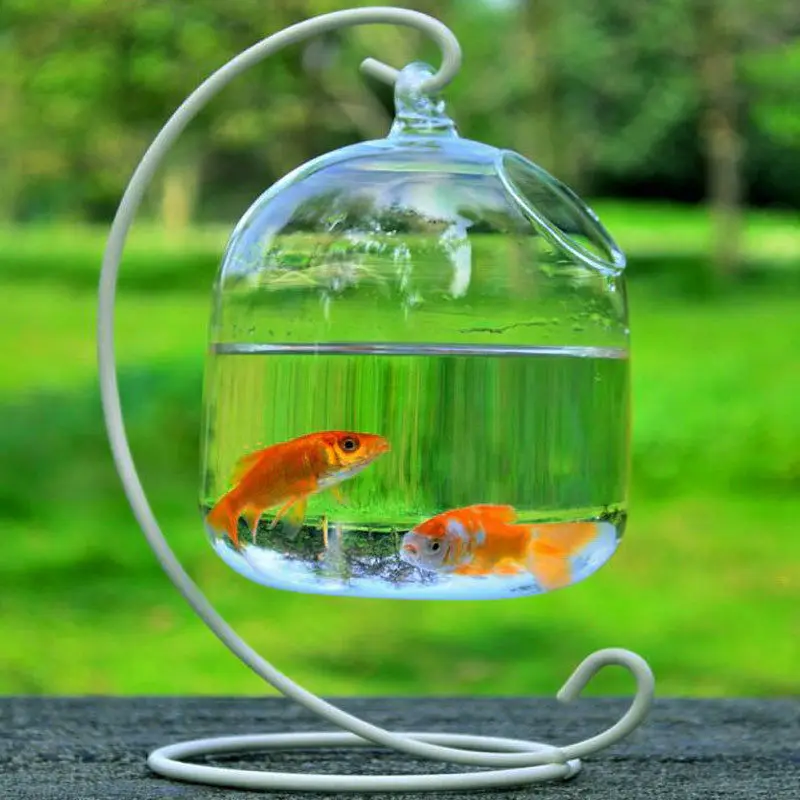 Hanging Transparent Glass Vases Fishbowl Fish Tanks Handmade Aquarium Decor