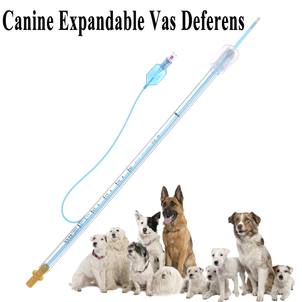 1PCS New Design Pet Dog Canine Artificial Insemination With Inflatable Ball Expanded To Locate The Uterine Orifice Sperm Inject