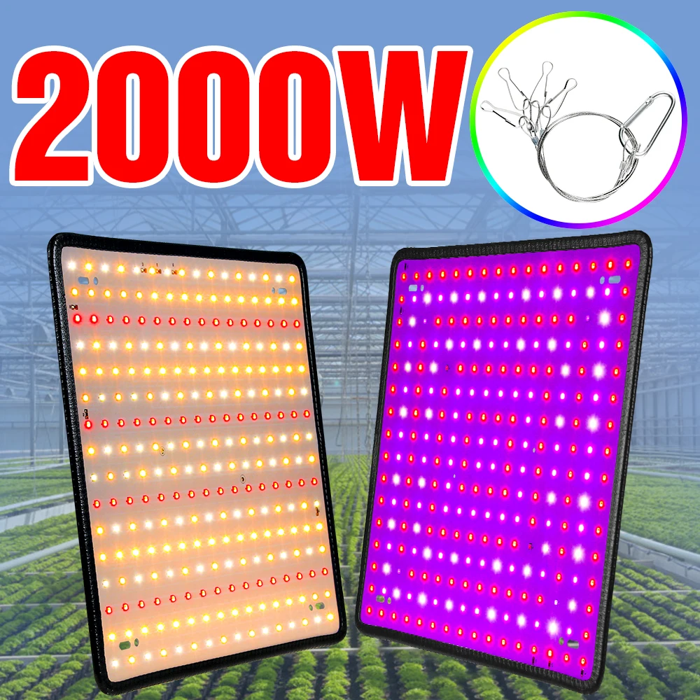 Luz LED de espectro completo para cultivo de plantas, lámpara de 2000 V para cultivo interior, iluminación LED para invernadero, 220V, 110 W