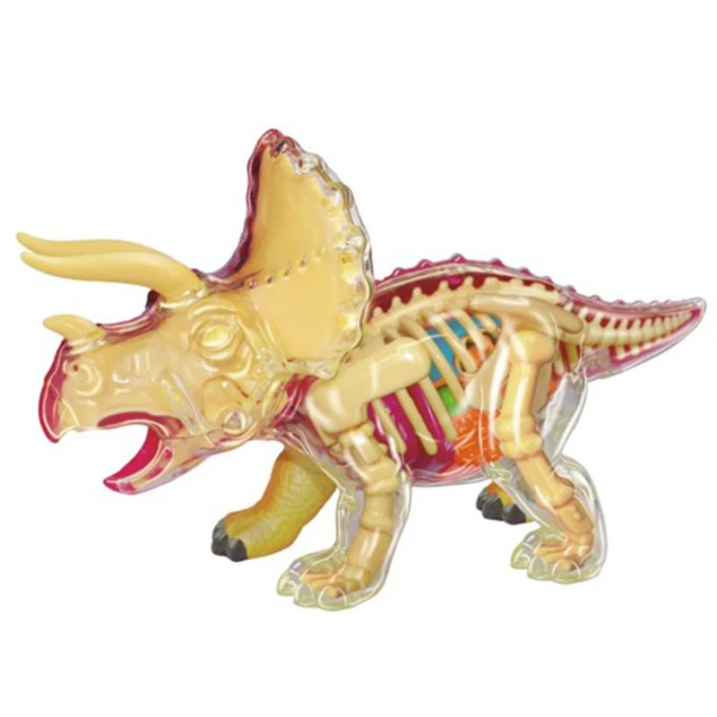 

Authentic 4D Master Anatomy Assembled Model Q Edition Triceratops Simulation Animal Educational Toy